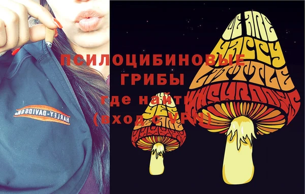 тгк Пестово