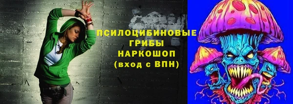 герыч Пересвет