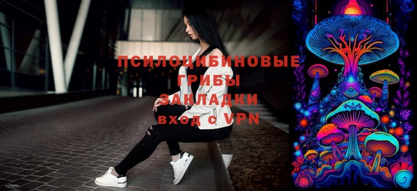 герыч Пересвет